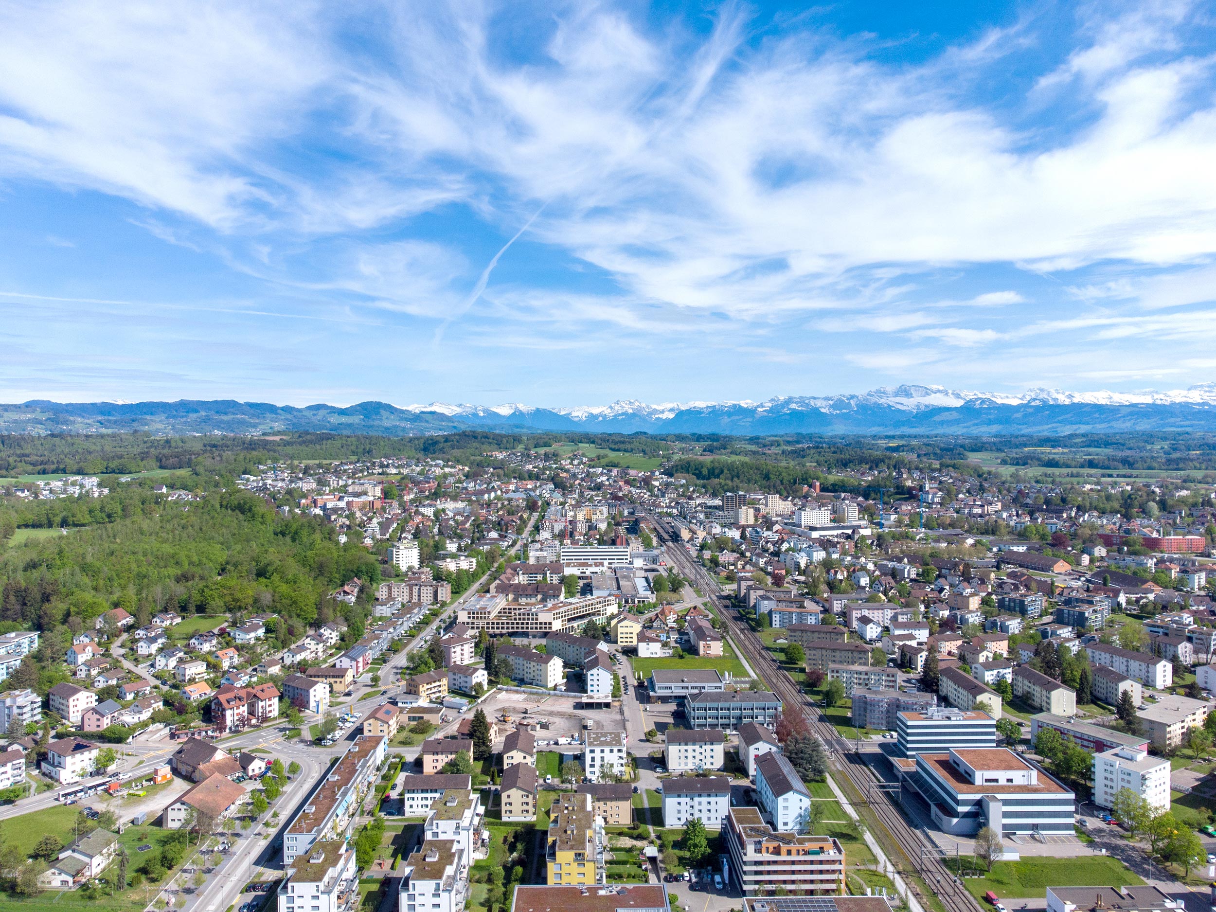 flueckiger immobilien